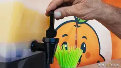 Nikki Nicole - The Big O Orange Stand | Picture (1)