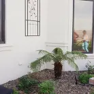 Angela White in 'Run Club Rules'