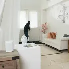 Ryan Conner in 'Tall Domme Steals Robber's Load'