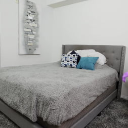 Servicio de limpieza de la casa