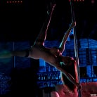 Aaliyah Love in 'Pole Skills and Holes Filled'